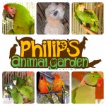 Philip’s Animal Garden